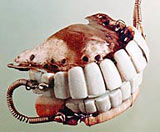 George Washington's Dentures, circa 1798